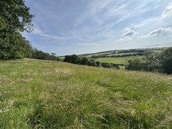 Images for Winterborne Stickland