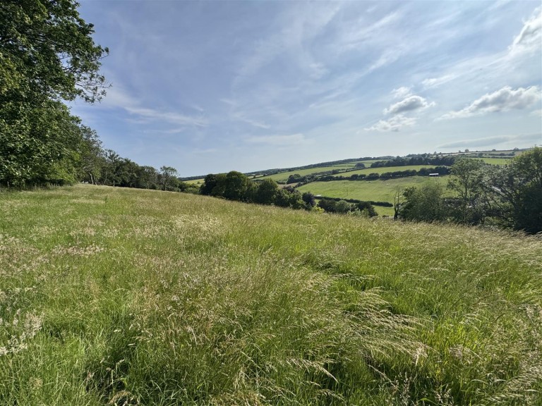 Images for Winterborne Stickland