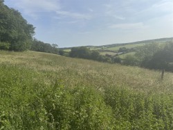 Images for Winterborne Stickland