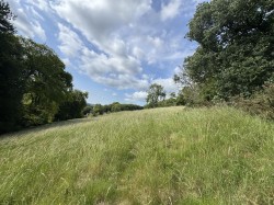 Images for Winterborne Stickland
