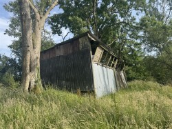 Images for Winterborne Stickland