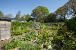 Images for Oak Lane, Withycombe, Minehead