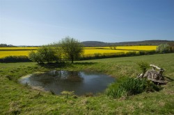 Images for Oak Lane, Withycombe, Minehead