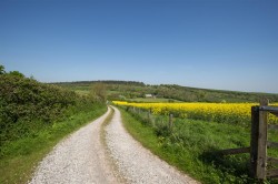 Images for Oak Lane, Withycombe, Minehead