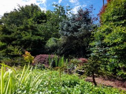 Images for Lyme Road, Axminster, Devon