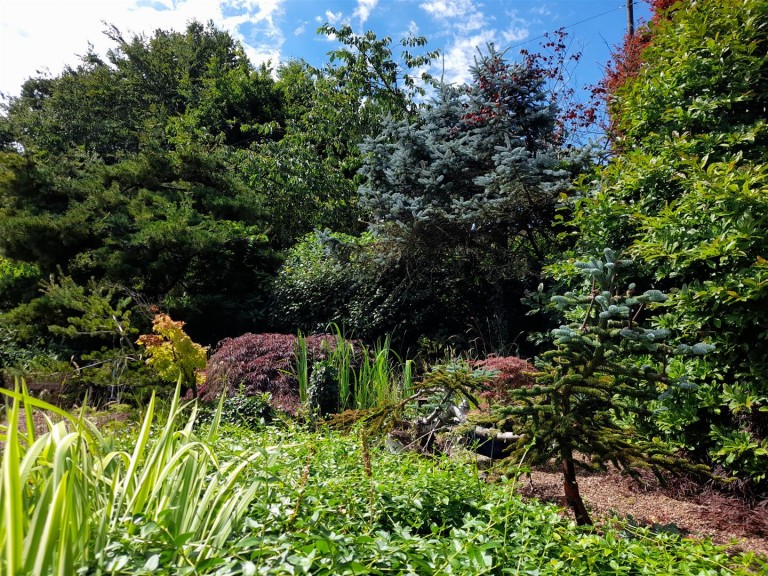 Images for Lyme Road, Axminster, Devon