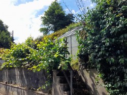 Images for Lyme Road, Axminster, Devon