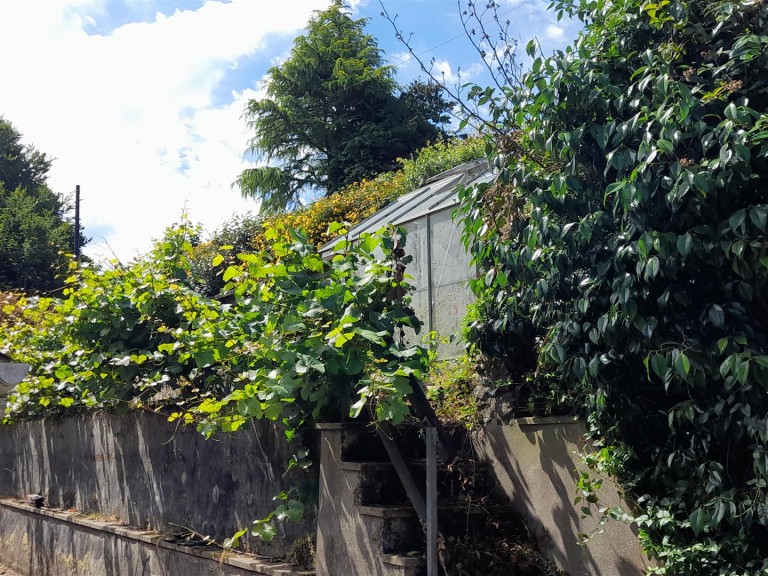 Images for Lyme Road, Axminster, Devon