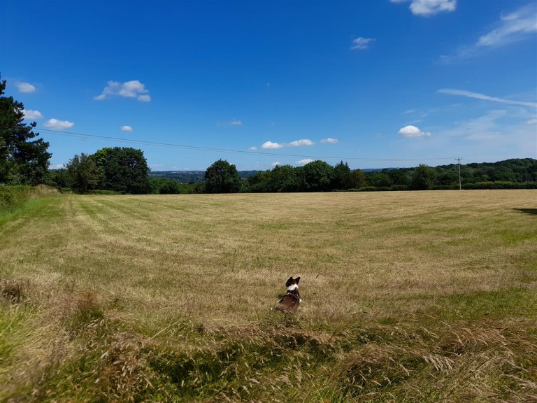 Images for Lyme Road, Axminster, Devon