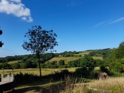 Images for Lyme Road, Axminster, Devon