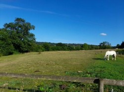 Images for Lyme Road, Axminster, Devon
