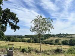 Images for Lyme Road, Axminster, Devon