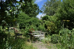 Images for Chapel Amble