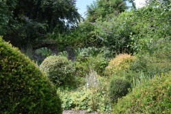 Images for Chapel Amble