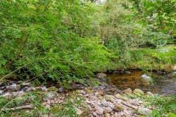 Images for South Brent