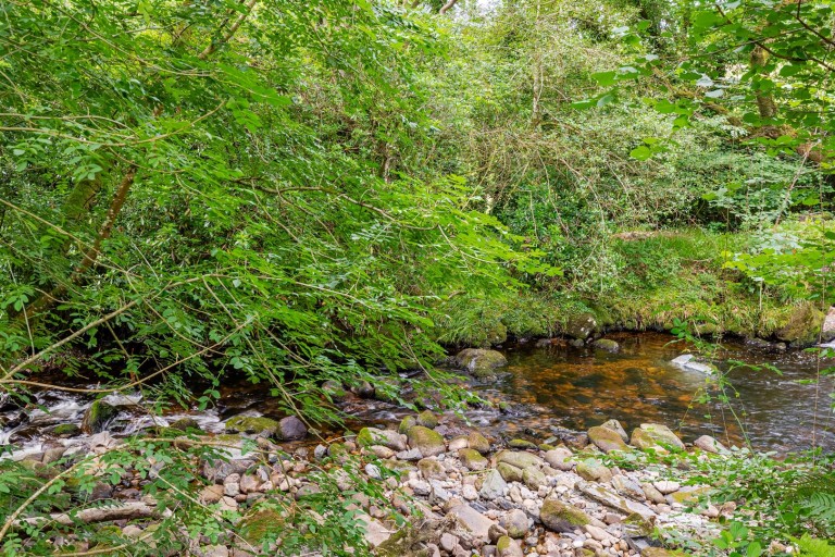 Images for South Brent