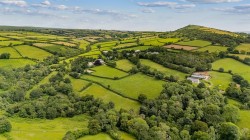 Images for South Brent