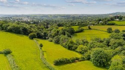 Images for South Brent