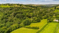 Images for South Brent