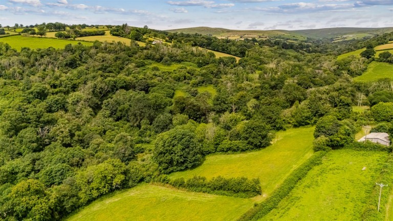 Images for South Brent