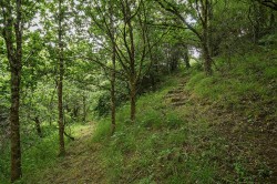 Images for Moretonhampstead