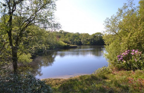 Click the photo for more details of Chapel Lane, Trethurgy, St. Austell