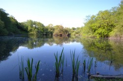 Images for Chapel Lane, Trethurgy, St. Austell