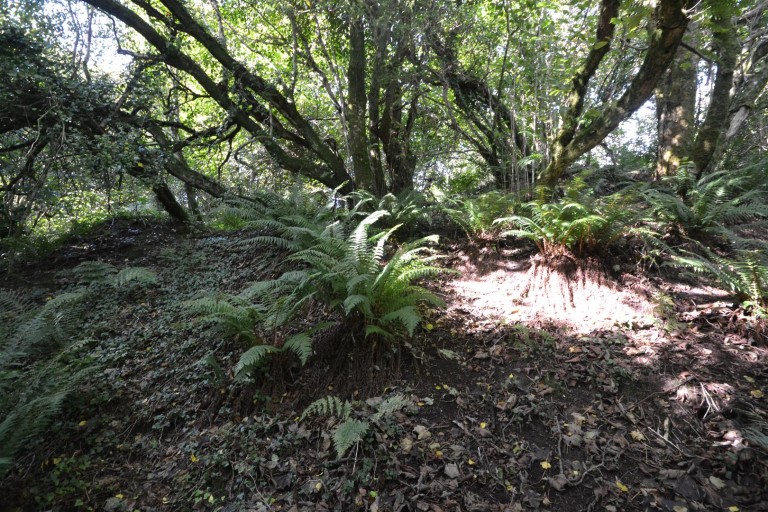 Images for Chapel Lane, Trethurgy, St. Austell