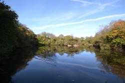 Images for Chapel Lane, Trethurgy, St. Austell