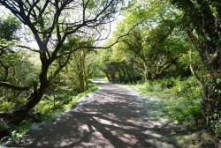 Images for Chapel Lane, Trethurgy, St. Austell