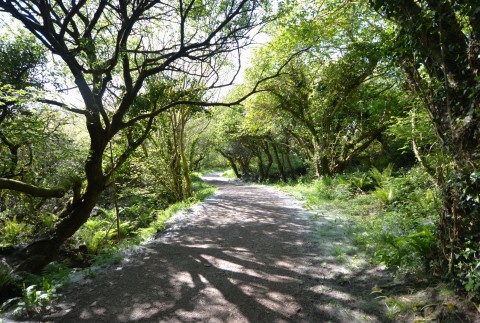 Click the photo for more details of Chapel Lane, Trethurgy, St. Austell