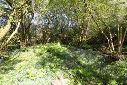 Images for Chapel Lane, Trethurgy, St. Austell