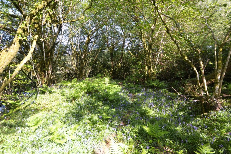 Images for Chapel Lane, Trethurgy, St. Austell