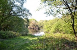 Images for Chapel Lane, Trethurgy, St. Austell