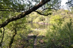 Images for Chapel Lane, Trethurgy, St. Austell