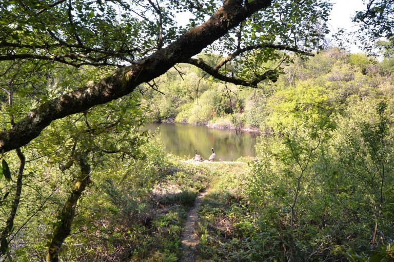 Images for Chapel Lane, Trethurgy, St. Austell