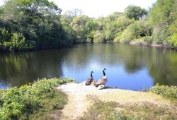 Images for Chapel Lane, Trethurgy, St. Austell