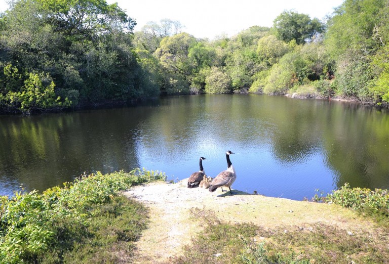 Images for Chapel Lane, Trethurgy, St. Austell