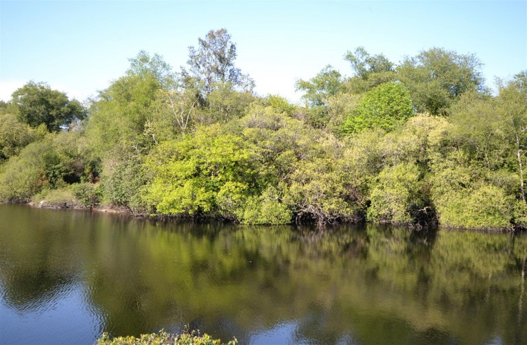 Images for Chapel Lane, Trethurgy, St. Austell