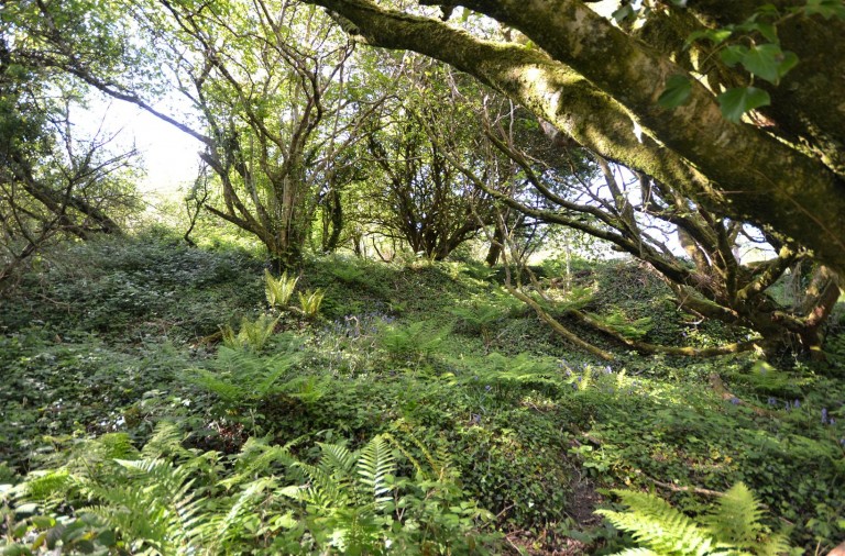 Images for Chapel Lane, Trethurgy, St. Austell