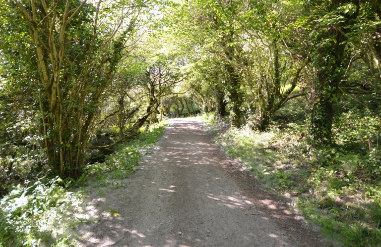 Images for Chapel Lane, Trethurgy, St. Austell