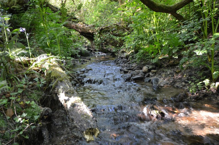 Images for Chapel Lane, Trethurgy, St. Austell
