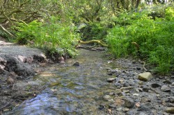 Images for Chapel Lane, Trethurgy, St. Austell