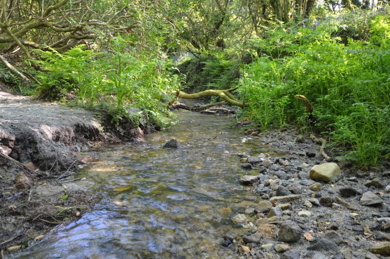 Images for Chapel Lane, Trethurgy, St. Austell