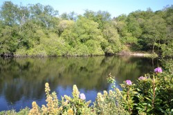 Images for Chapel Lane, Trethurgy, St. Austell