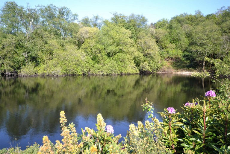 Images for Chapel Lane, Trethurgy, St. Austell