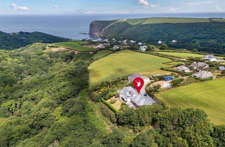 Click the photo for more details of Crackington Haven, Bude