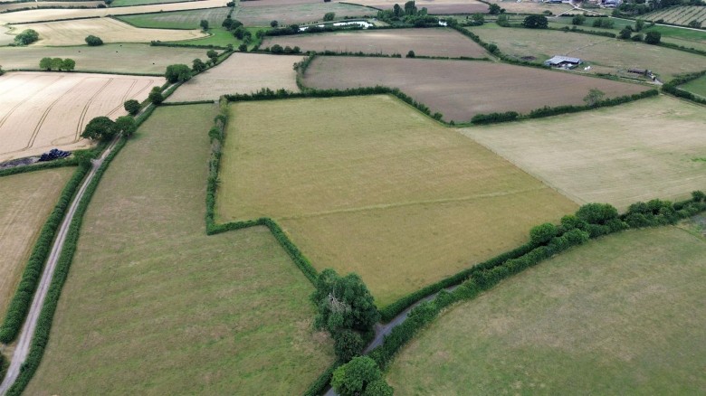 Click the photo for more details of Babcary, Somerton