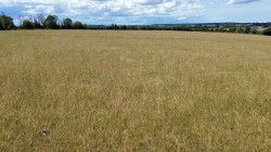 Images for Babcary, Somerton