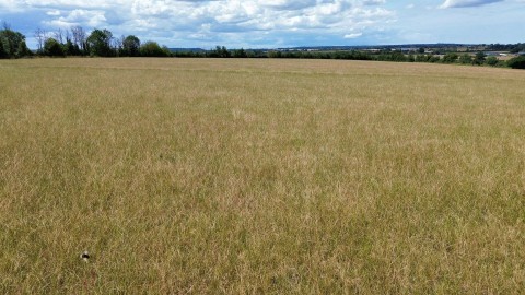 Click the photo for more details of Babcary, Somerton